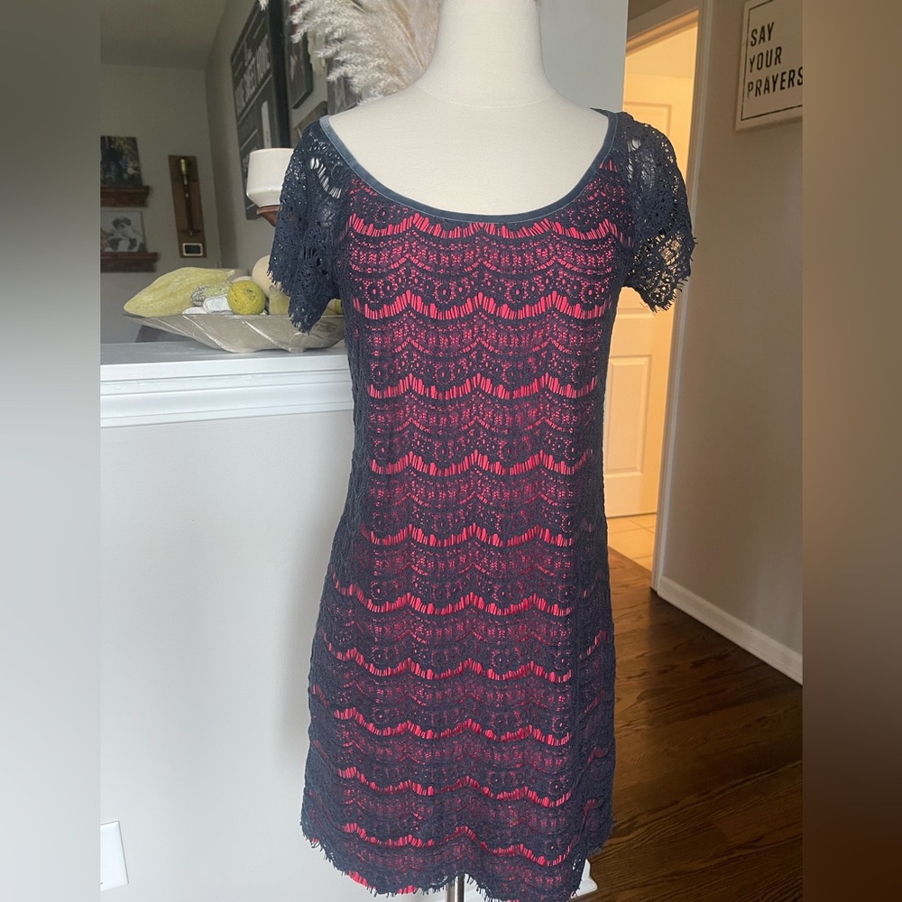 Max studio blue pink lace sheath dress sheer M